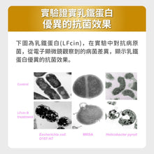PETSTIMES 毛孩時代 - Immune system support (Cats & Dogs)  免疫力平衡保健粉 (貓/犬隻專用) - PTIS-060G
