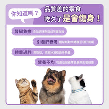 PETSTIMES 毛孩時代 - 100%Whole Food Diced Fresh Shrimp Freeze-Dried Pet Treats (Cats & Dogs) 100%原型鮮蝦丁凍乾粒零食 (貓/犬隻專用) - PTSP-040G