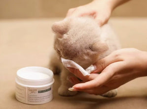 Golden Steam -  cotton wipes Pet Face Wipes 100% 純棉寵物清爽蘆薈濕紙巾 - GSWP-050P