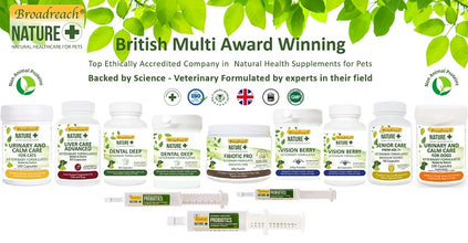 Broadreach Nature - GLM JOINT CARE  WITH  GREEN LIPPED MUSSEL (Dogs) GLM 關節及強健骨格 (犬隻專用) 300粒 - BRDJ-GC300C