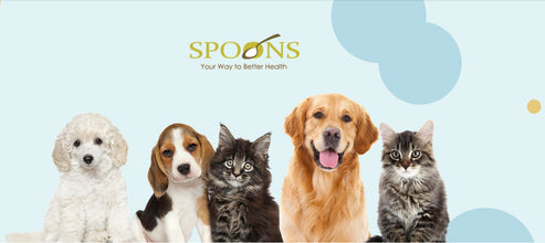 Spoons - 100% 純天然椰子油 Natural Special Hevco Extra Virgin Coconut Oil  - 貓 - SPOONS-VCO30