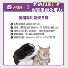 PETSTIMES 毛孩時代 - Immune system support (Cats & Dogs)  免疫力平衡保健粉 (貓/犬隻專用) - PTIS-060G