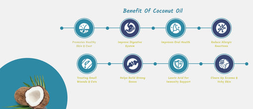 Spoons - 100% 純天然椰子油 Natural Special Hevco Extra Virgin Coconut Oil  - 貓 - SPOONS-VCO30