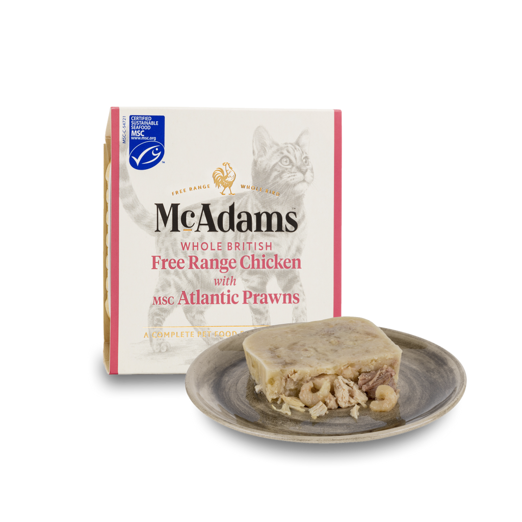 McAdams Free Range Chicken, Atlantic Shrimp (Wet Cat Food) MACWCP