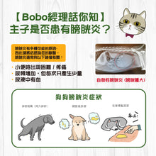 Broadreach Nature - URINARY DOG 膀胱及尿道護理丸裝 (狗隻專用) - BRDU-UA100C