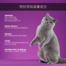 Golden Steam - Top Performance Pet Conditioner 護毛素 - 狗/貓 200ml - GSCD-200M