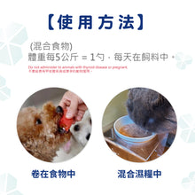 Micromed Vet - Replat Tooth Powder 貓犬消炎抗菌牙石粉 70g - MVT2-RT070G