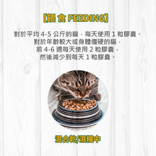 Broadreach Nature - GLM JOINT CARE WITH GREEN LIPPED MUSSEL (Cats) GLM 關節及強健骨格 (貓隻專用) 60粒 - BRCJ-GC060C *食用期: Dec,2025*