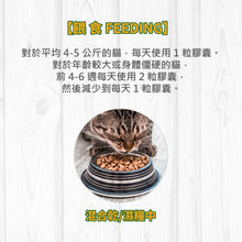 Broadreach Nature - GLM Cat 關節及強健骨格 (貓隻專用) - BRCJ-GC060C