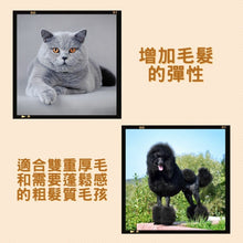 Golden Steam - Thickening Fluffy Shampoo 濃密蓬鬆洗毛液 - GSTF-500M