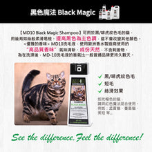 MD-10 - Black Magic Shampoo 黑色魔法洗毛液 300ml - Cats  - MDCS-BM300M