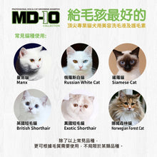 MD-10 - White Magic Shampoo 亮白魔法洗毛液 750ml Cats  - MDCS-WM750M