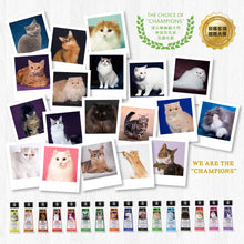 MD-10 - Texture Volume Shampoo 豐盈質感洗毛液 300ml - Cats  - MDCS-TV300M