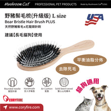 Mushroom Cat - Boar Bristle Comb 25mm - MRBB-PLUV2