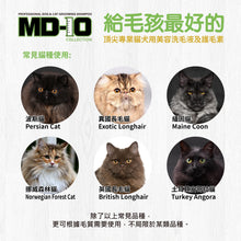 MD-10 - Black Texture Volume Shampoo 黑色豐盈質感洗毛液 750ml - Cats  - MDCS-BT750M