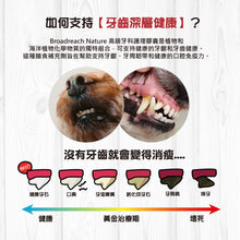Broadreach Nature - Dental Deep  with Oral-Activ (Cat & Dog) 牙齒深層健康活性膠囊 60粒 (貓犬專用) - BRBT-DD060C