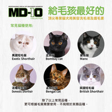 MD-10 - Biotin Vitamin B7 Shampoo 維他命B7洗毛液 2L - Cats  - MDCS-BV002L