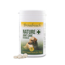 Broadreach Nature - JOINT CARE ADVANCED DOG (Large Dogs) 關節及強健骨格 60粒 (10kg以上犬隻專用) - BRDJ-JC060C