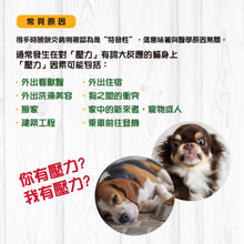 Broadreach Nature - URINARY DOG 膀胱及尿道護理丸裝 (狗隻專用) - BRDU-UA100C