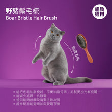 Mushroom Cat - Boar Bristle Comb 17mm - MRBB-P13V2