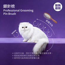 Mushroom Cat - Pro Sliver Pin Brush Pro 30 V2 銀針梳升級版 30mm Pro 30 V2  - MRBP-P30V2