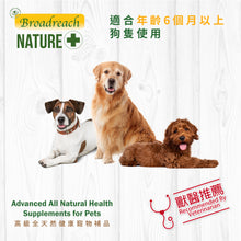 Broadreach Nature - GLM JOINT CARE  WITH  GREEN LIPPED MUSSEL (Dogs) GLM 關節及強健骨格 120粒(犬隻專用) - BRDJ-GC120C