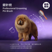 Mushroom Cat - Pro Sliver Pin Brush Pro35 V2 銀針梳升級版  35mm PRO35 V2 - MRBP-P35V2