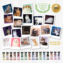 MD-10 - British Shorthair Shampoo 英短專用配方洗毛液 300ml - Cats  - MDCS-BH300M