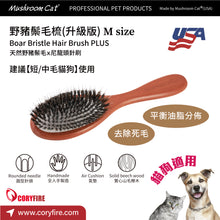 Mushroom Cat - Boar Bristle Comb 17mm - MRBB-P13V2