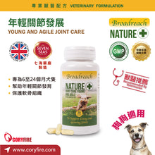 Broadreach Nature - JOINT CARE YOUNG AND AGILE Young joint development (only for dogs half a year old to under 2 years old) - BRDJ-YJ090C