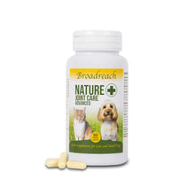 Broadreach Nature - JOINT CARE ADVANCED  (Small Cats & Dogs) 關節及強健骨格 90粒 (10kg 以下貓/犬隻專用) - BRBJ-JC090C