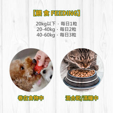 Broadreach Nature - TURMERIC & BIOPERINE 薑黃及維生素丸 (貓/犬隻專用) 60粒 - BRBD-TB060C