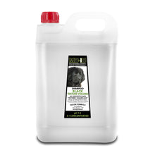 MD-10 - Black Texture Volume Shampoo 5L - Dogs - MDDS-BT005L xxx
