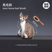 Mushroom Cat - Horse Hair Brush Pro 05 - MRBH-P05V1