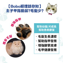 Micromed Vet - B Beauty Plus 爆毛/美毛/指甲粉 50g - MVS2-BP050G