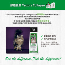 MD-10 - Texture Collagen Collagen Shampoo 300ml - Cats - MDCS-TC300M 