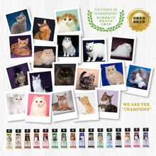 MD-10 - White Magic Shampoo 亮白魔法洗毛液 750ml Cats  - MDCS-WM750M