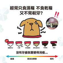 Micromed Vet - Dog or Cat Finger 寵物抗菌清潔牙套 - 貓狗適用 - MVT4-TC1PCS (顏色隨機發)