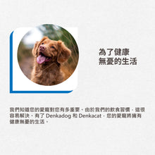 Denkacat all-round adult cat food-DKC-ADP125