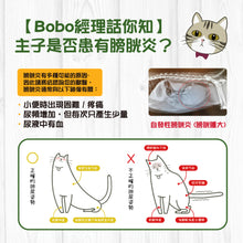 Broadreach Nature -URINARY CAT 膀胱及尿道護理丸裝 (貓隻專用) - BRCU-UA100C