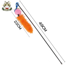 寶寶樂園-貓咪玩具-新款黑棒加橙色/綠色逗貓棒 (羽毛顏色隨機) - BO-17