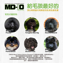 MD-10 - Black Texture Volume Shampoo 黑色豐盈質感洗毛液 2L - Dogs  - MDDS-BT002L