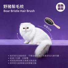 Mushroom Cat - Boar Bristle Comb 25mm - MRBB-PLUV2