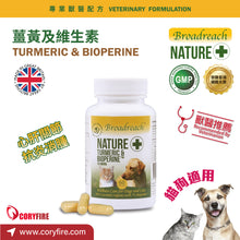 Broadreach Nature - TURMERIC & BIOPERINE 薑黃及維生素丸 (貓/犬隻專用) 60粒 - BRBD-TB060C